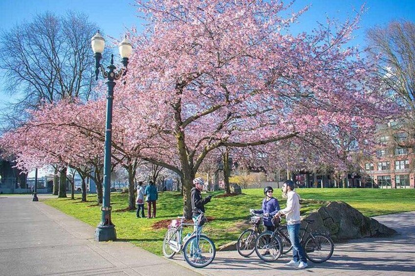 Explore Portland by Bike! 1