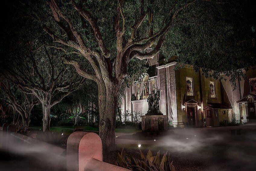 A large tree in a courtyard with a building in the background. 3