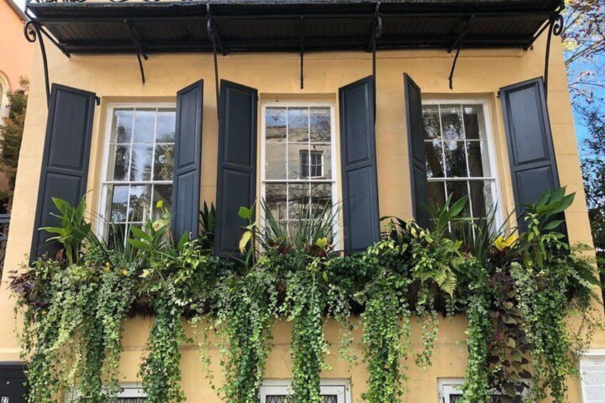 Window Boxes