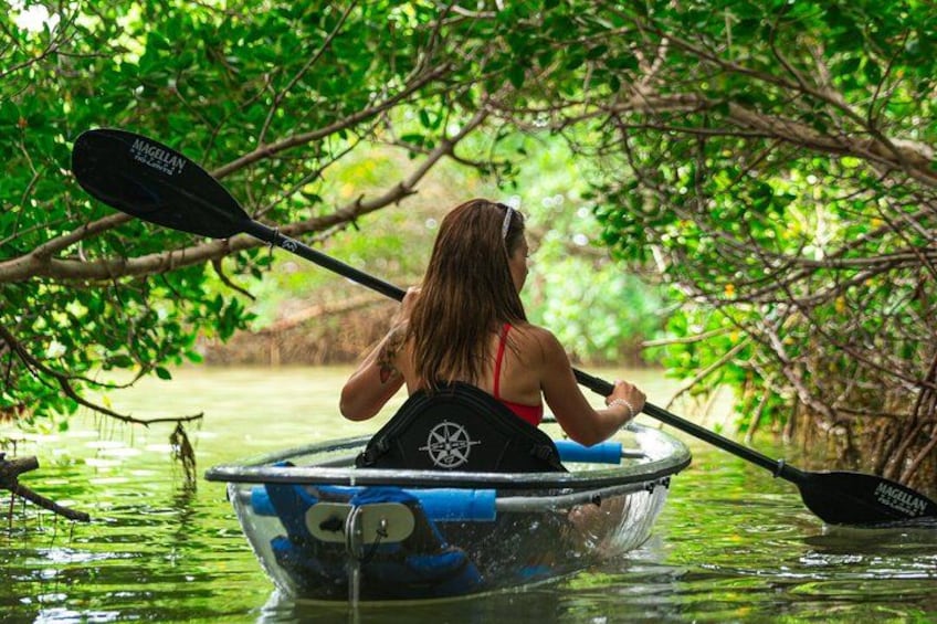 Una persona haciendo kayak en un kayak azul, con un remo, rodeada de abundante vegetación y agua. 1