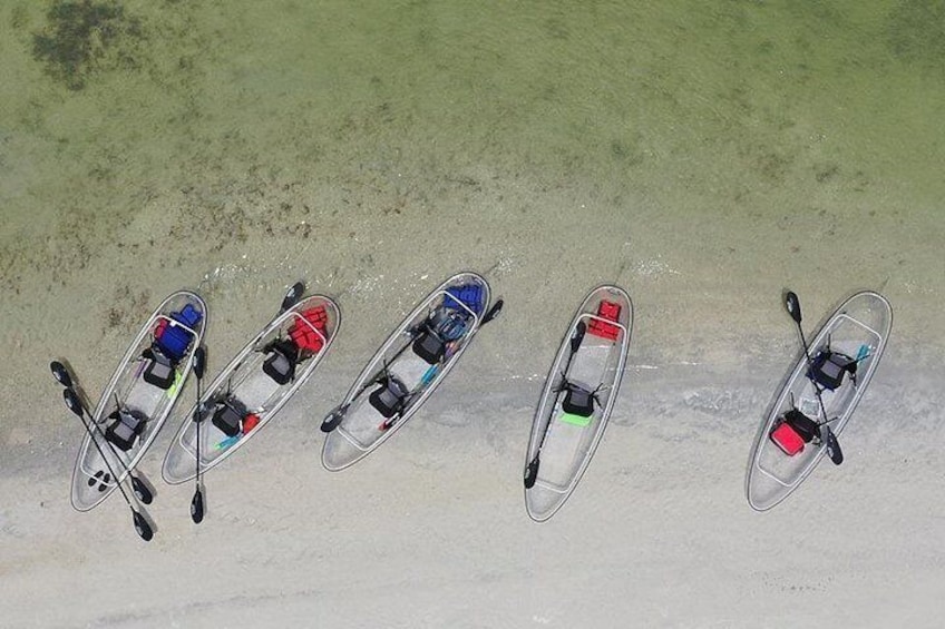 Five kayaks lined up on a sandy beach. 4
