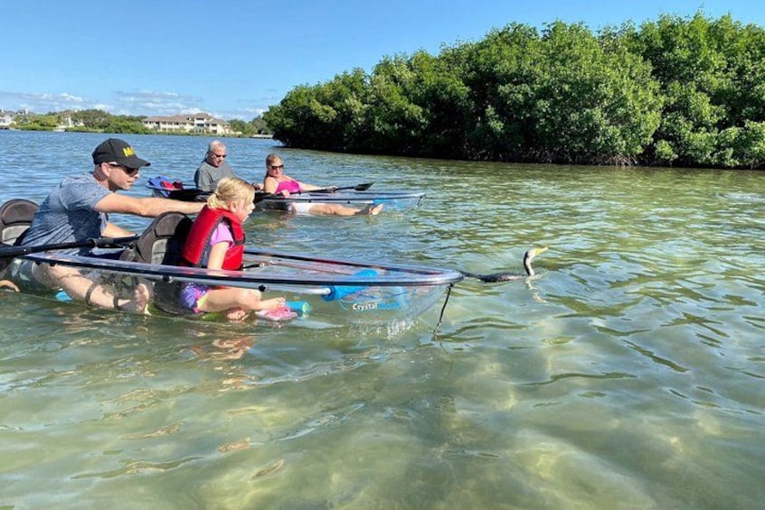 Personas remando en aguas tranquilas con una orilla boscosa al fondo. 5