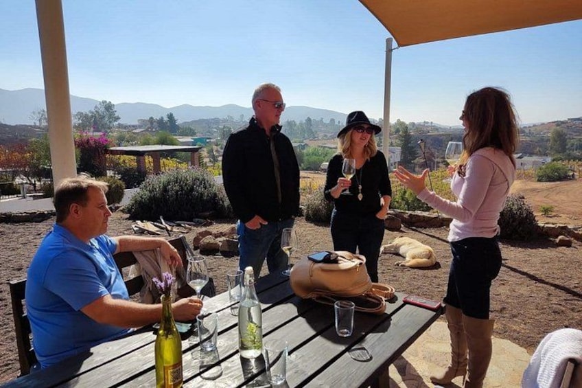 Our guest taking in the Valle de Guadalupe scenery 4