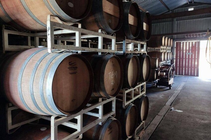 Valle De Guadalupe Winery 2