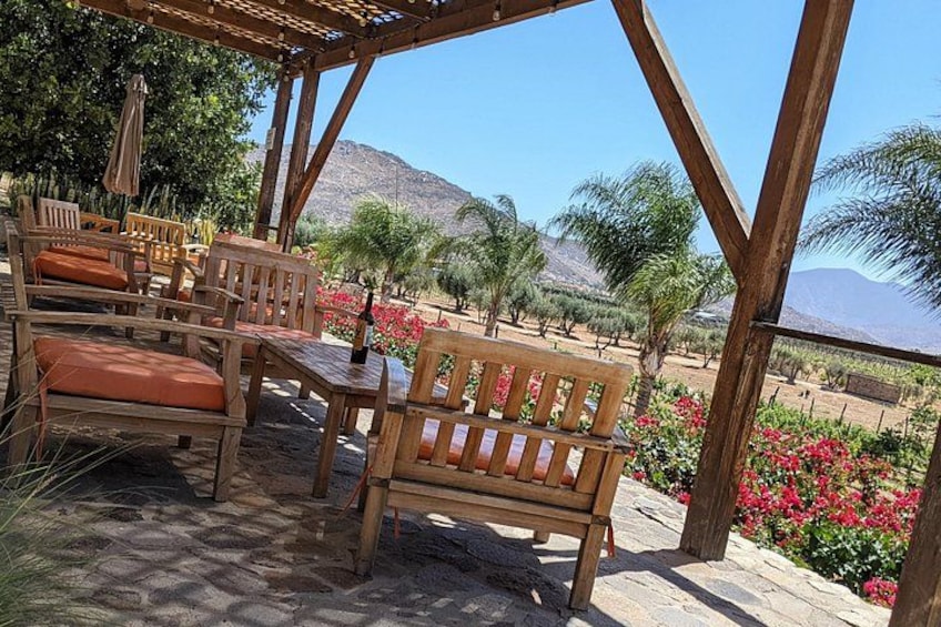 Quinta Monasterio, Valle de Guadalupe 2