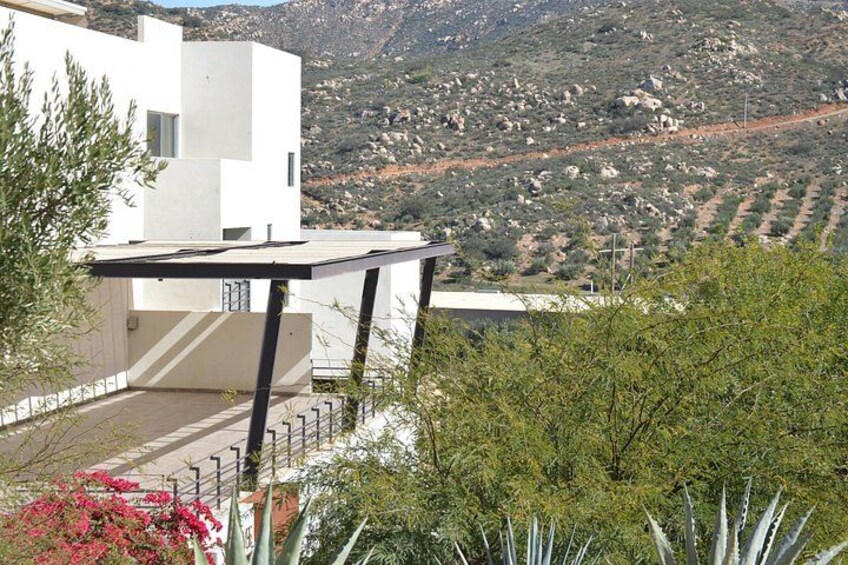Views from the Valle 4