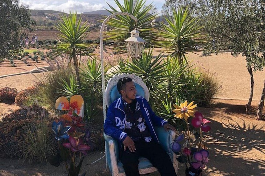 Una persona sentada en una silla en un jardín con varias plantas y un farol. 2