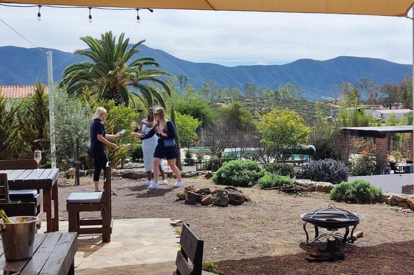 Valle De Guadalupe, Baja California Vibes 5