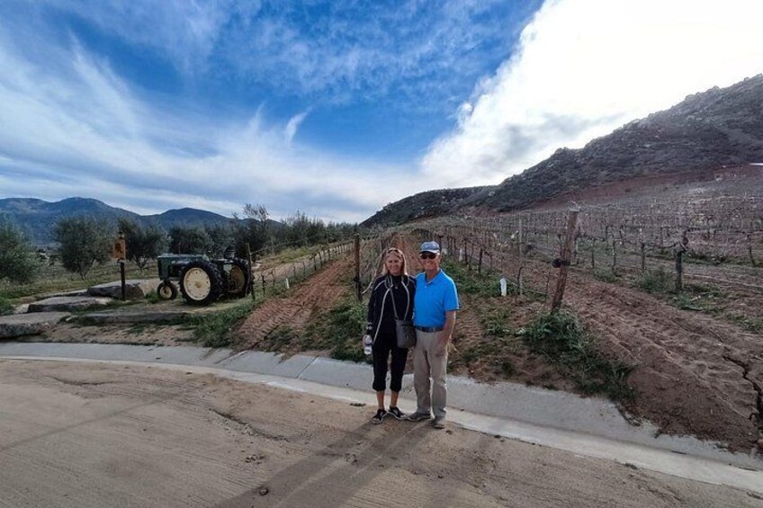 Views of the wine country 5