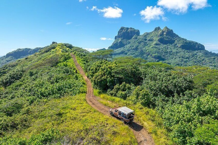 Un camino de tierra serpentea por un paisaje verde exuberante, con una camioneta estacionada al borde. 5