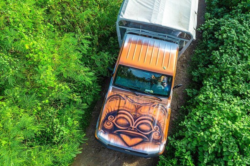 Une voiture au design original est garée sur un chemin de terre, entourée d’une végétation luxuriante. 5