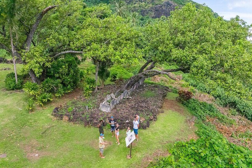 Een groep mensen staat nabij een omgevallen boom in een weelderig groen landschap. 3