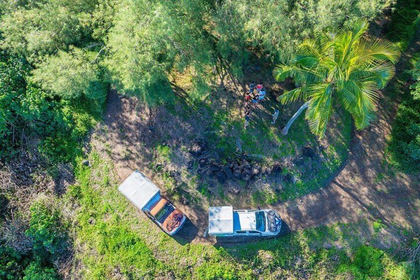 Une vue aérienne d’un camion garé sur un chemin de terre, entouré d’une végétation dense et d’un palmier. 4