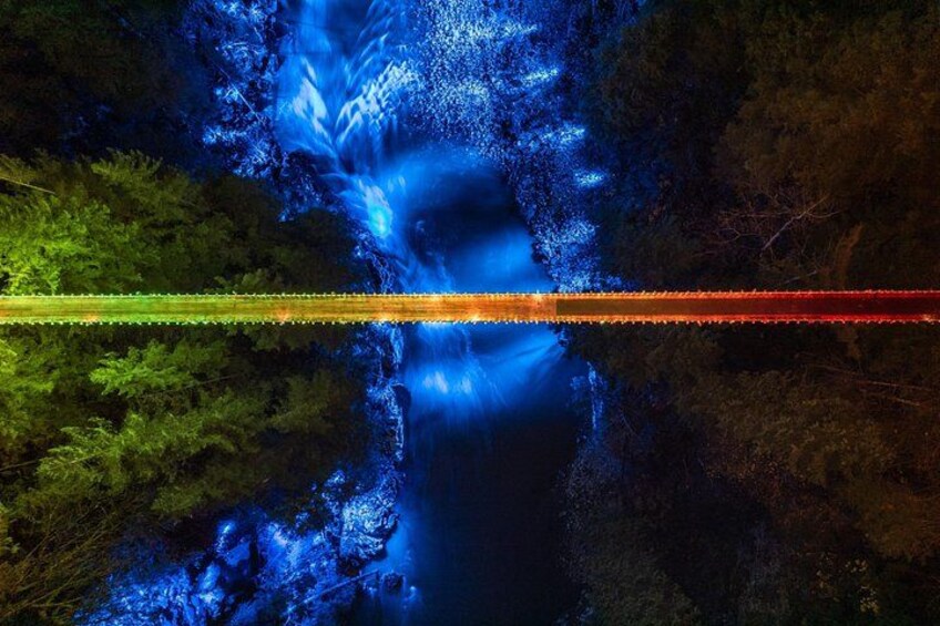 Private Capilano & Grouse Mountain — Tickets & Pickup Included 5