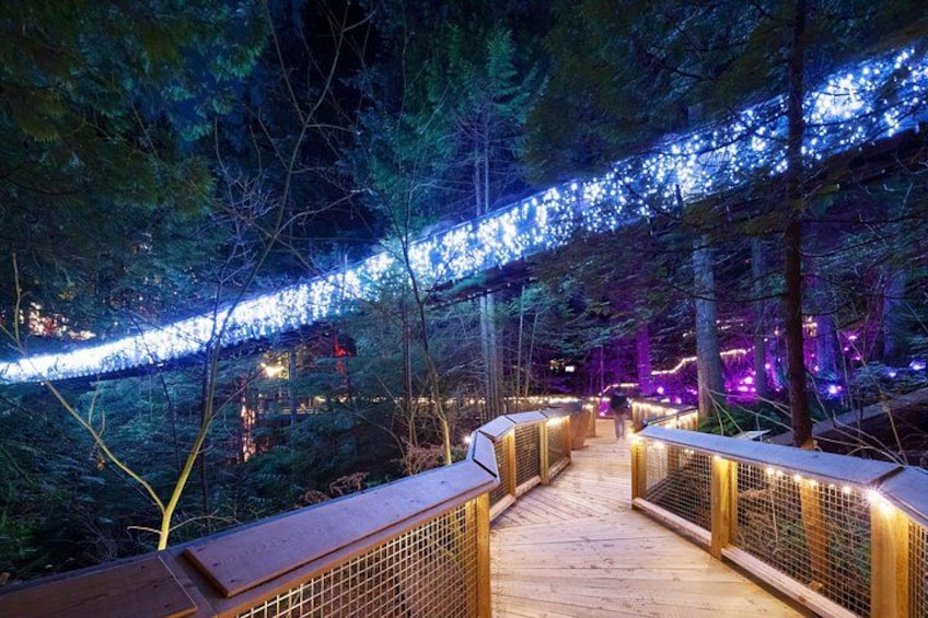 Private Capilano & Grouse Mountain — Tickets & Pickup Included 3