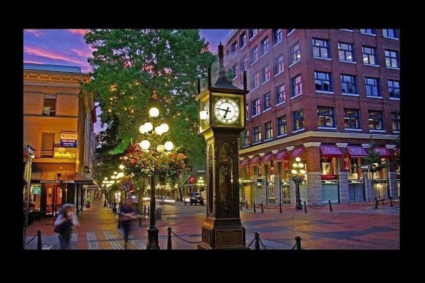 Private Vancouver City Tour — 3 Hours, Luxury SUV & Hotel Pickup 1