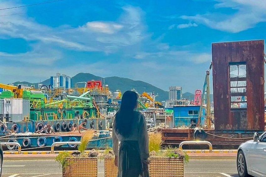 Private Busan Tour - Explore Landmarks with a Licensed Guide 2