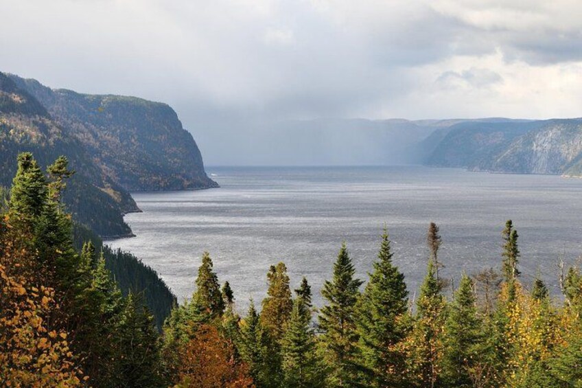 A coastal landscape with dense forest, steep cliffs, and a calm sea. 1
