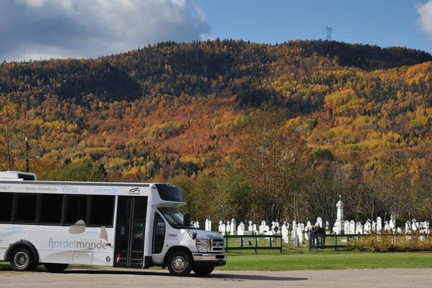 Back Country of the Fjord and the National Park 2