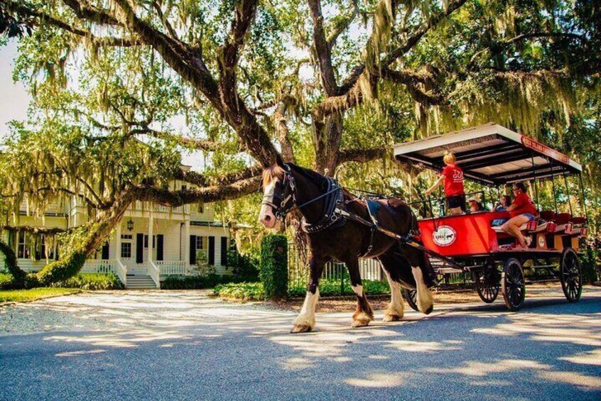 View historic homes by horse & carriage 