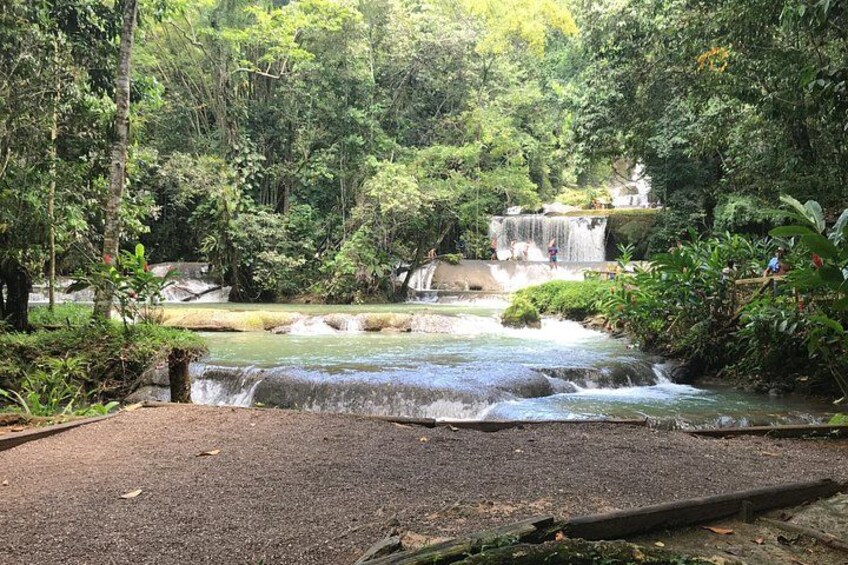 YS Falls Private Full-Day Adventure Tour with Pickup 5