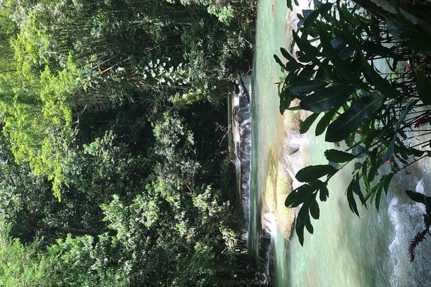 YS Falls Private Full-Day Adventure Tour with Pickup 4