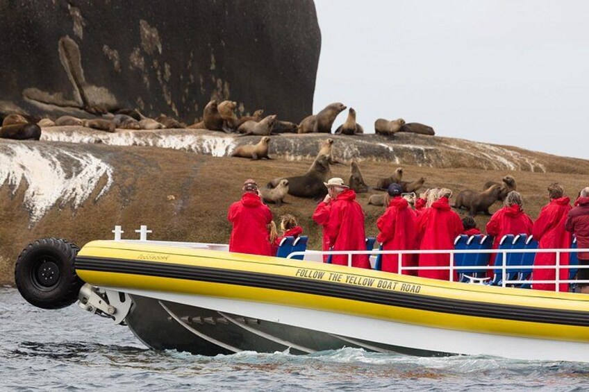 Wilsons Promontory Wilderness Cruise from Tidal River 2