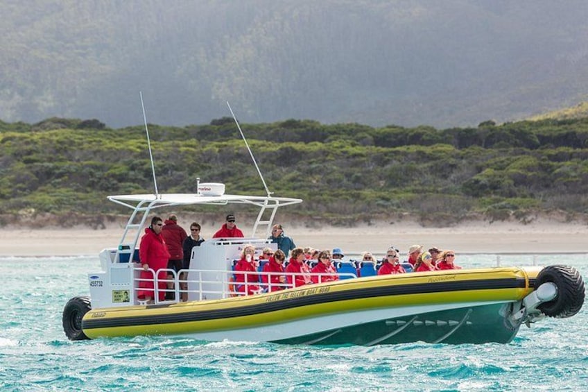 A boat with passengers wearing red life jackets on a body of water with a beach and greenery in the background. 1