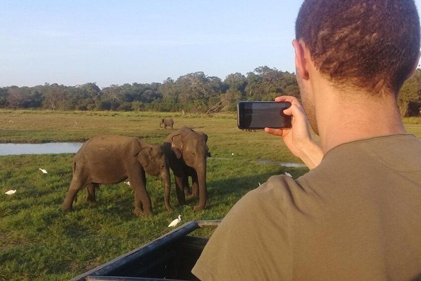 Minneriya safari in polonnaruwa sri lanka 5