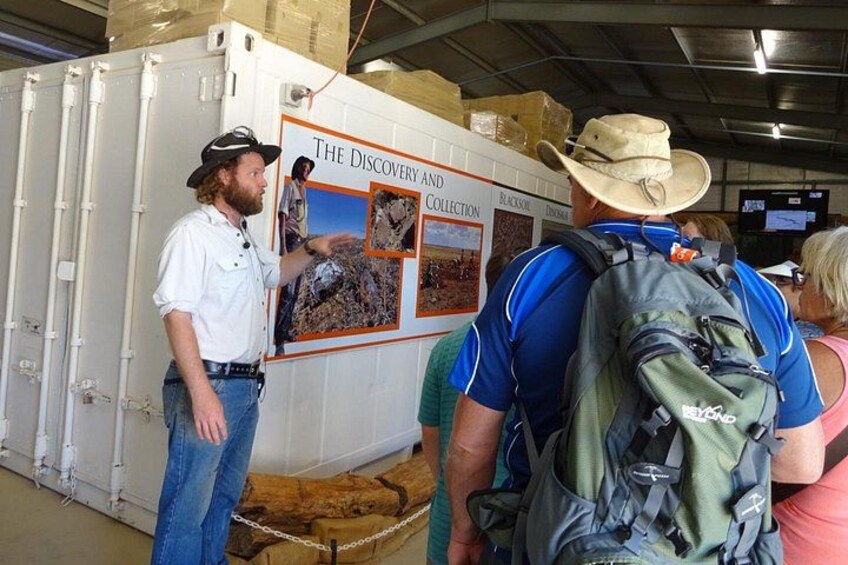 Ein Mann in weißem Hemd und Hut präsentiert einen Plakat mit dem Titel 'Entdeckung und Sammlung', das Bilder von Fossilien zeigt. 3