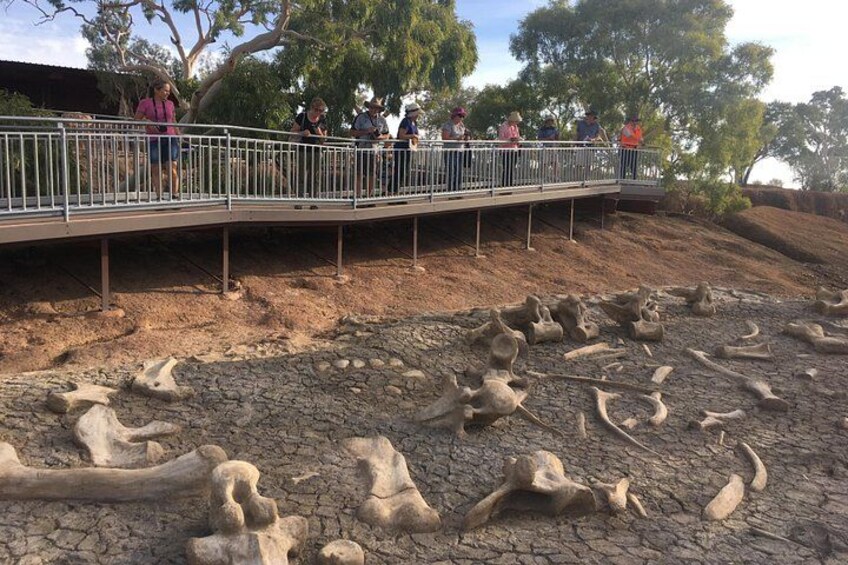 A pedestrian bridge with people walking on it, surrounded by dry, cracked ground and large fossilized bones. 3