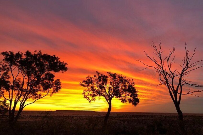 A sunset with three trees silhouetted against a vibrant sky. 2