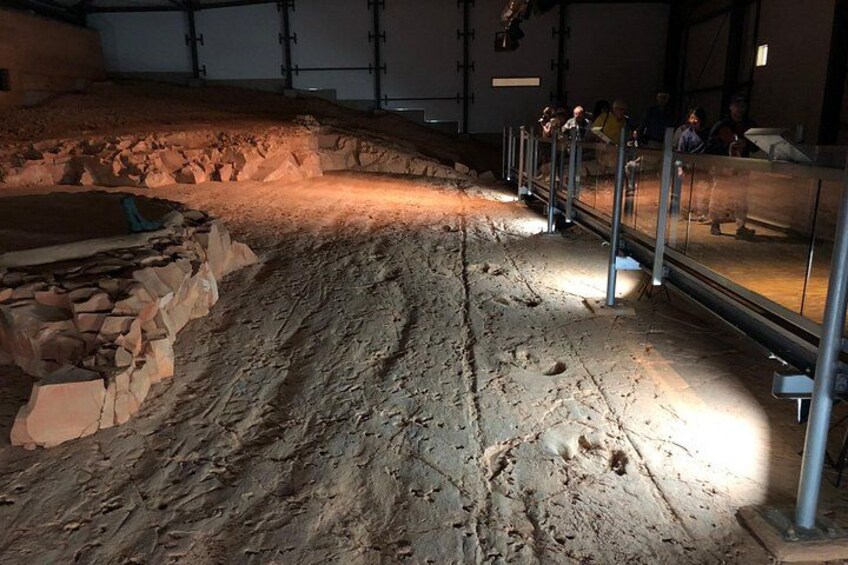 Dinosaur Stampede 3/4 Day Tour from Winton 4