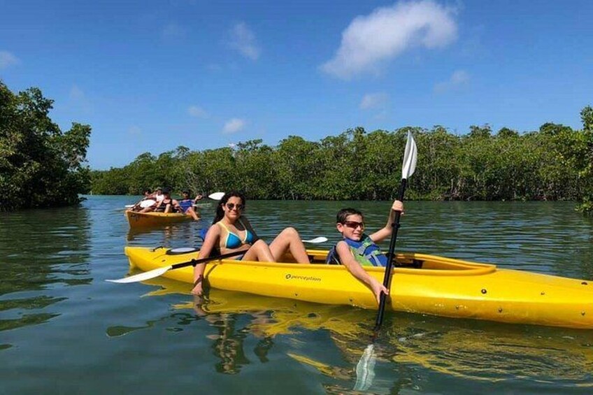 Key West Mangrove Kayak Eco Tour 2