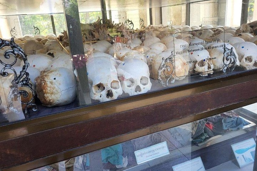 Una teca con diversi teschi e ossa, alcune etichettate con indicazioni sull'età. 4