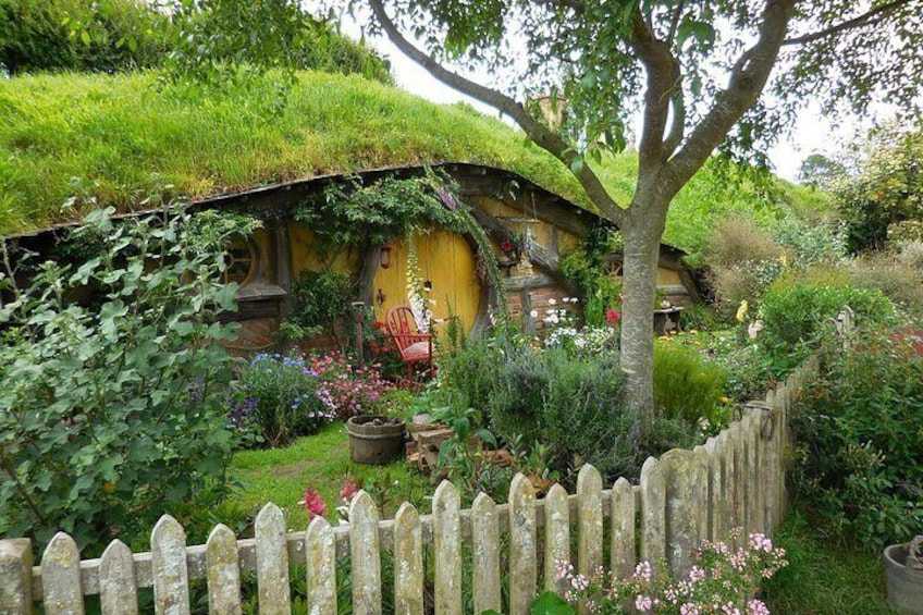 Hobbiton Movie Set Tour - Departs Tauranga 3