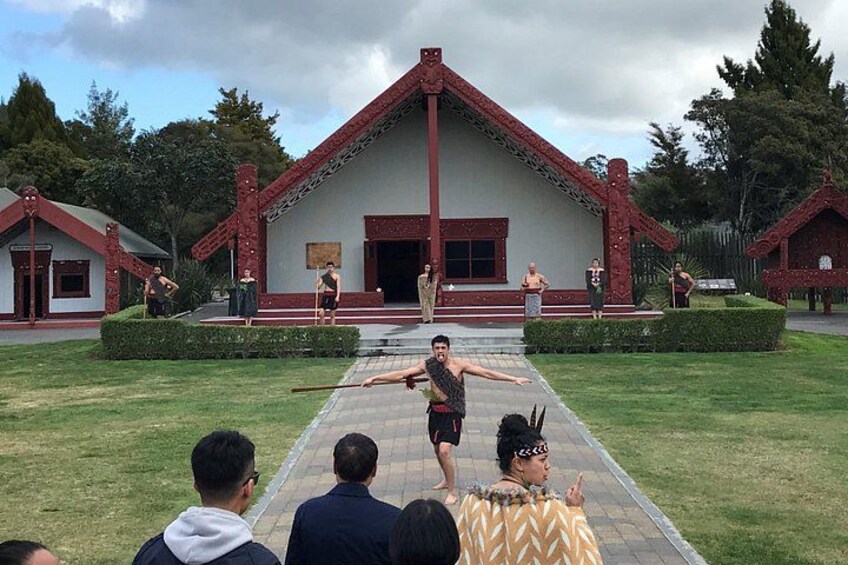 Rotorua Cultural and Geothermal Wonderland Tour – Depart Tauranga 1