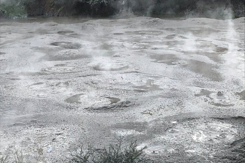 Rotorua Cultural and Geothermal Wonderland Tour – Depart Tauranga 4