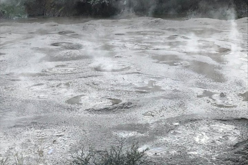 Rotorua Cultural and Geothermal Wonderland Tour – Depart Tauranga 4