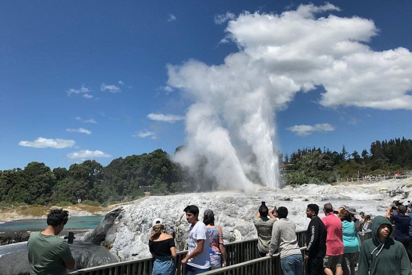 Rotorua Cultural and Geothermal Wonderland Tour – Depart Tauranga 4