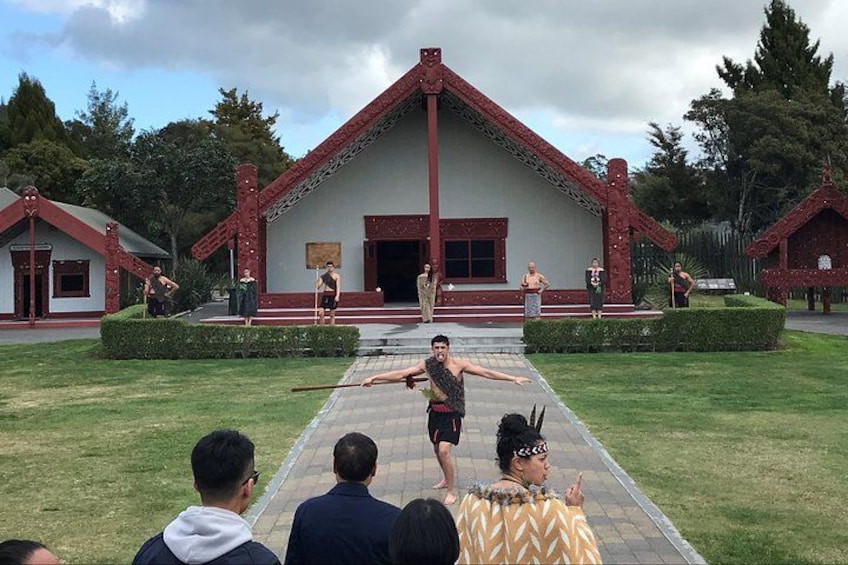 Rotorua Cultural and Geothermal Wonderland Tour – Depart Tauranga 1