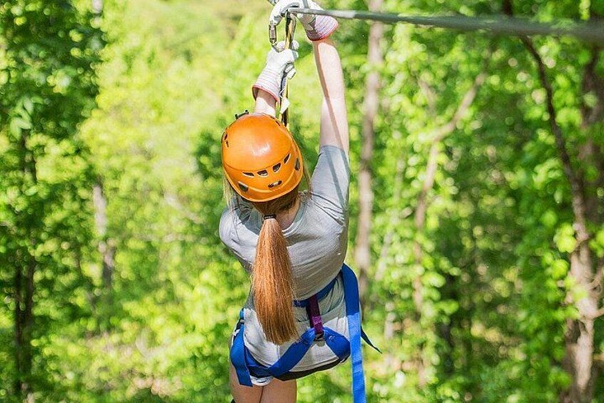 En person som åker på en zipline genom en skog. 4