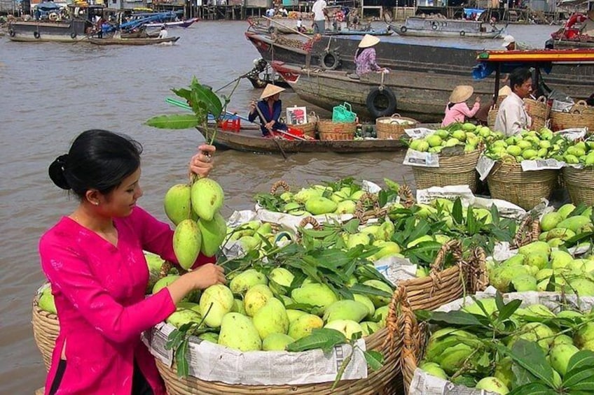 A woman in a pink shirt holding a bunch of green coconuts, with baskets of coconuts and boats in the background. 5