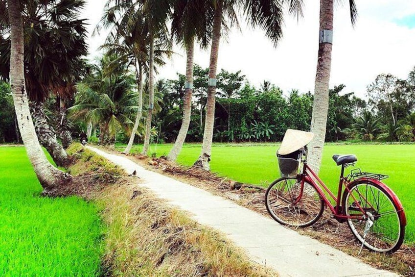 A red bicycle with a basket parked on a path in a green field with palm trees. 1