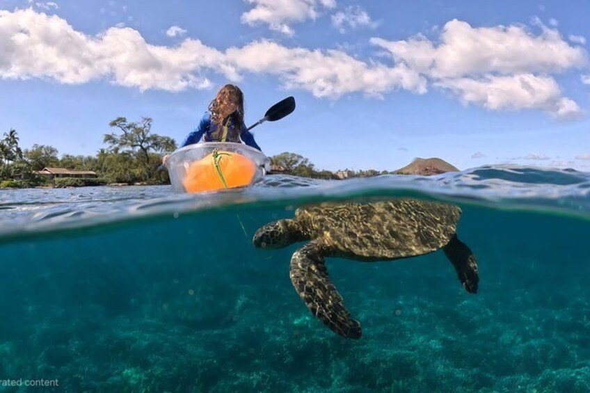 Une personne fait du kayak sur une eau d’un bleu cristallin, et une tortue de mer nage à proximité. 1