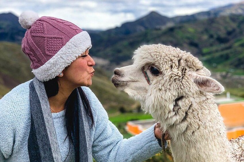 A person wearing a knitted hat and scarf, petting a llama in a mountainous landscape. 1