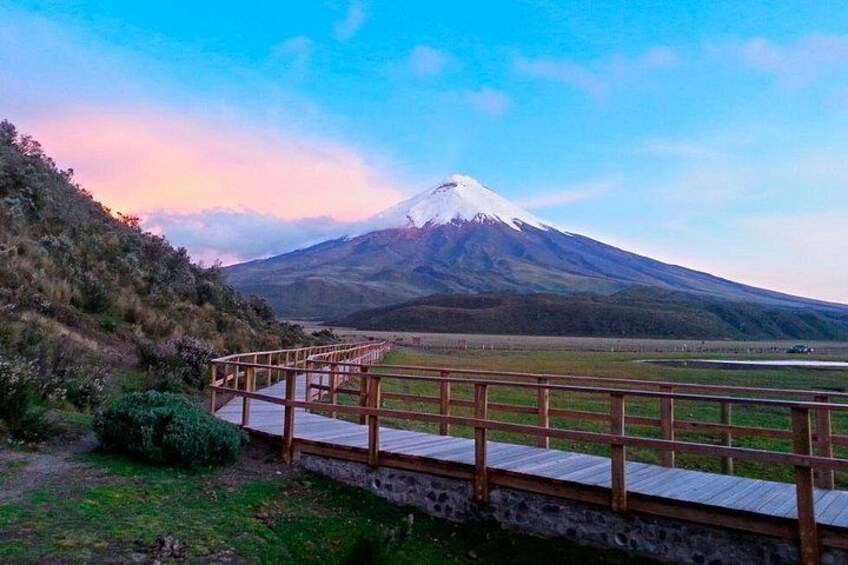 Cotopaxi Full-Day from Quito Including Entrances 3