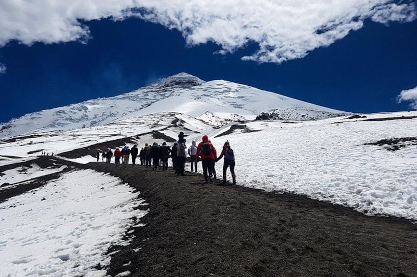 Cotopaxi Full-Day from Quito Including Entrances 3