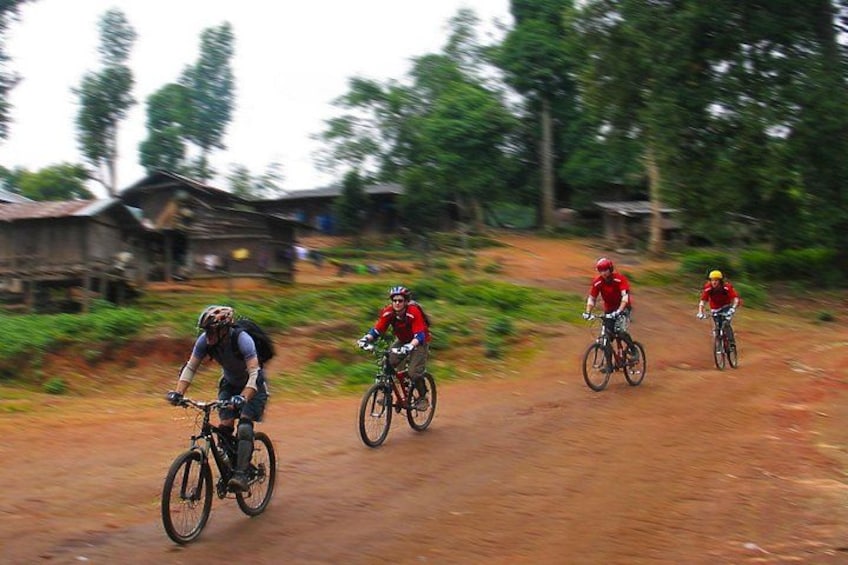 A group of cyclists on a dirt road with trees and houses in the background. 1