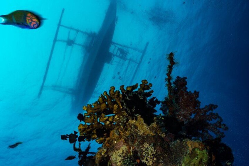 DiveGurus -Scuba Diving in Boracay 2